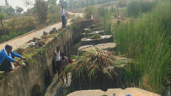 जल गंगा संवर्धन अभियान: बिजुरी के स्टॉप डेम की सफाई के लिये किया गया श्रमदान