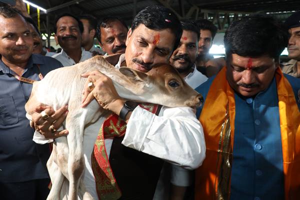 हमारी देशी गौ-माता हैं सर्वश्रेष्ठ : मुख्यमंत्री डॉ. यादव