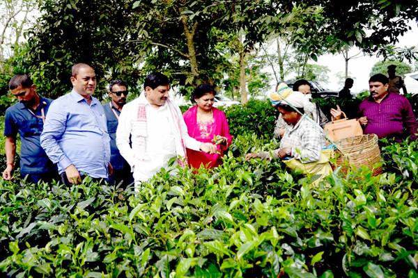 CM Dr. Yadav for Special Initiative to Foster Partnership in Wildlife Tourism Between MP and Assam