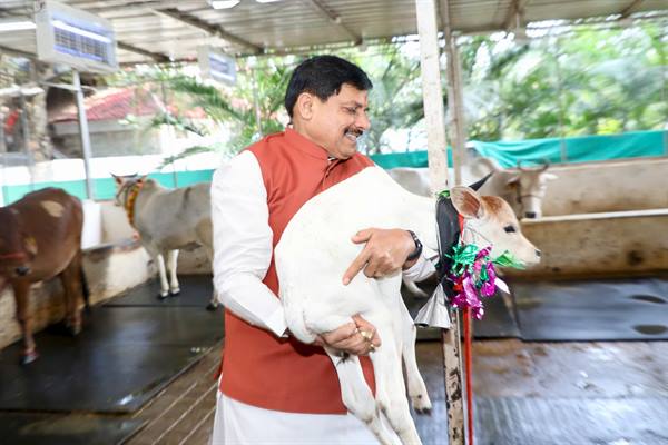 CM Dr. Yadav Names Newborn Calf
