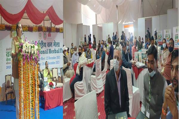 अंतर्राष्ट्रीय वन मेले का दूसरे दिन