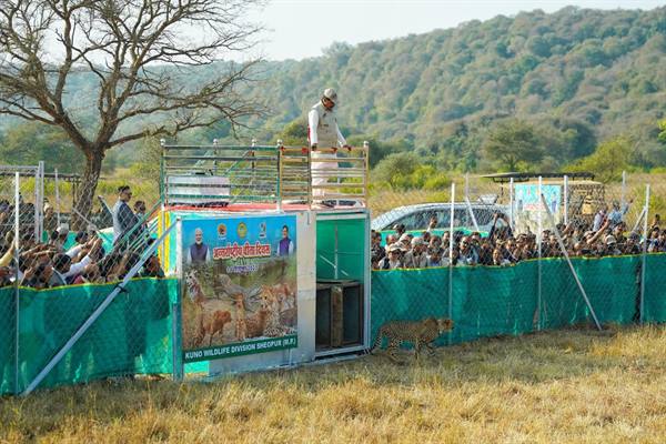 Cheetah is like a Crown Jewel and Kohinoor in State’s Rich Forest Wealth : CM Dr. Yadav