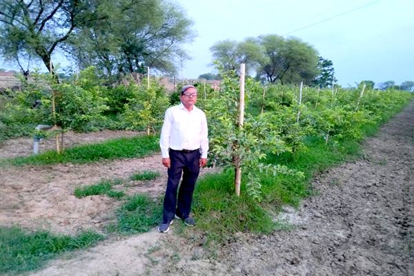 सफलता की कहानी