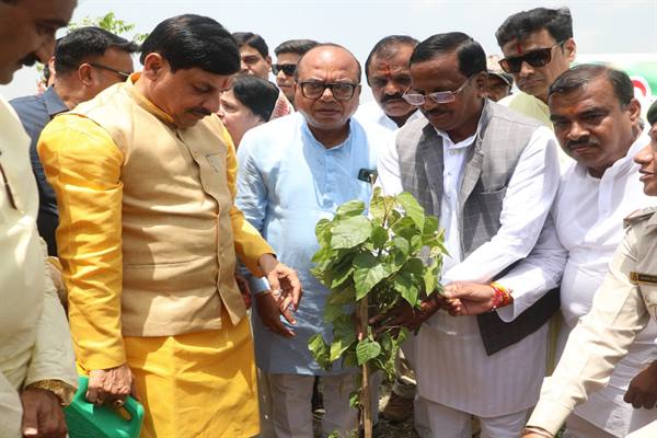 CM Dr. Yadav Planted Sindoor Sapling