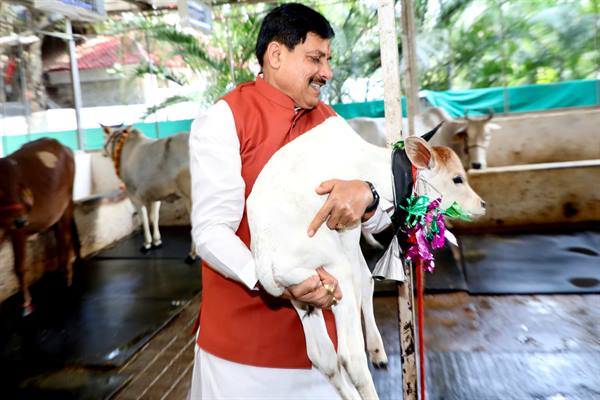 Madhya Pradesh to Double Dairy Farmers’ Income through Milk Production: Chief Minister Dr. Mohan Yadav
