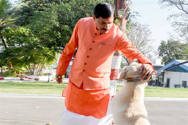 मुख्यमंत्री डॉ. यादव ने डॉग स्क्वॉड में प्रशिक्षण और स्वास्थ्य परीक्षण व्यवस्था संबंधी जानकारी प्राप्त की