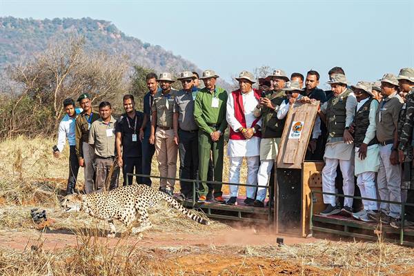 मध्यप्रदेश की पावन धरा पर रफ्तार भर रहा है चीता : मुख्यमंत्री डॉ. यादव
